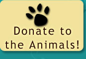 Donate