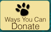 Donate