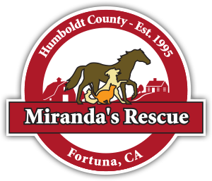Mirandas Rescue